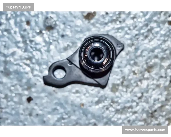 SRAM通用尾勾UDH被各大厂商采用,为T-Type变速系统铺路 SRAM通用尾勾UDH被各大厂商采用,为T-Type变速系统铺路